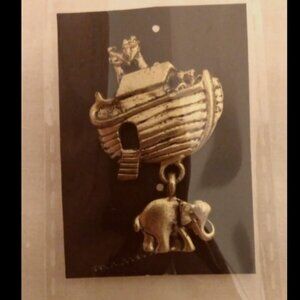 Noah's Ark Pin
